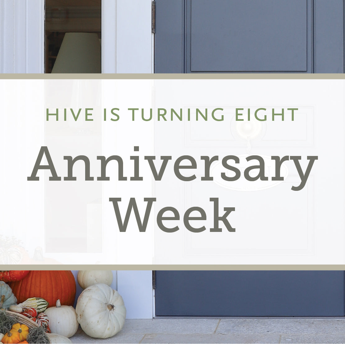 HIVE'S 8TH ANNIVERSARY WEEK! 11/22 - 11/27