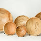 Peterman's Spalted Maple Serving Bowl Collection showcases six handcrafted wooden bowls of different sizes, each with distinct grain patterns, displayed upright on black stands against a white background.