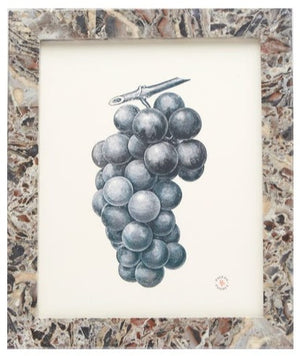 A framed illustration of black grapes on a white background, displayed in an 8x10 Mixed Gray Marble Corsica Frame by Pigeon & Poodle.