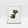 Oxford Frame Collection - Blanc