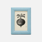 A black and white turnip illustration framed in a textured light blue border from the Pigeon & Poodle Oxford Frame Collection, combining classic style with lasting durability.