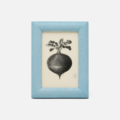 A black and white turnip illustration framed in a textured light blue border from the Pigeon & Poodle Oxford Frame Collection, combining classic style with lasting durability.