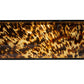 The Caspari Tortoiseshell Lacquer Bar Tray features handles and a glossy brown and amber pattern—ideal as an elegant gift or for decorative display.