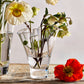 The Simon Pearce Anemone Vase Collection features clear hand-blown glass vases with curved sections, shown here displaying white flowers with yellow centers on a wooden surface beside a red flower, with another vase in the background.