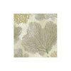 Sea Fans Collection - Taupe