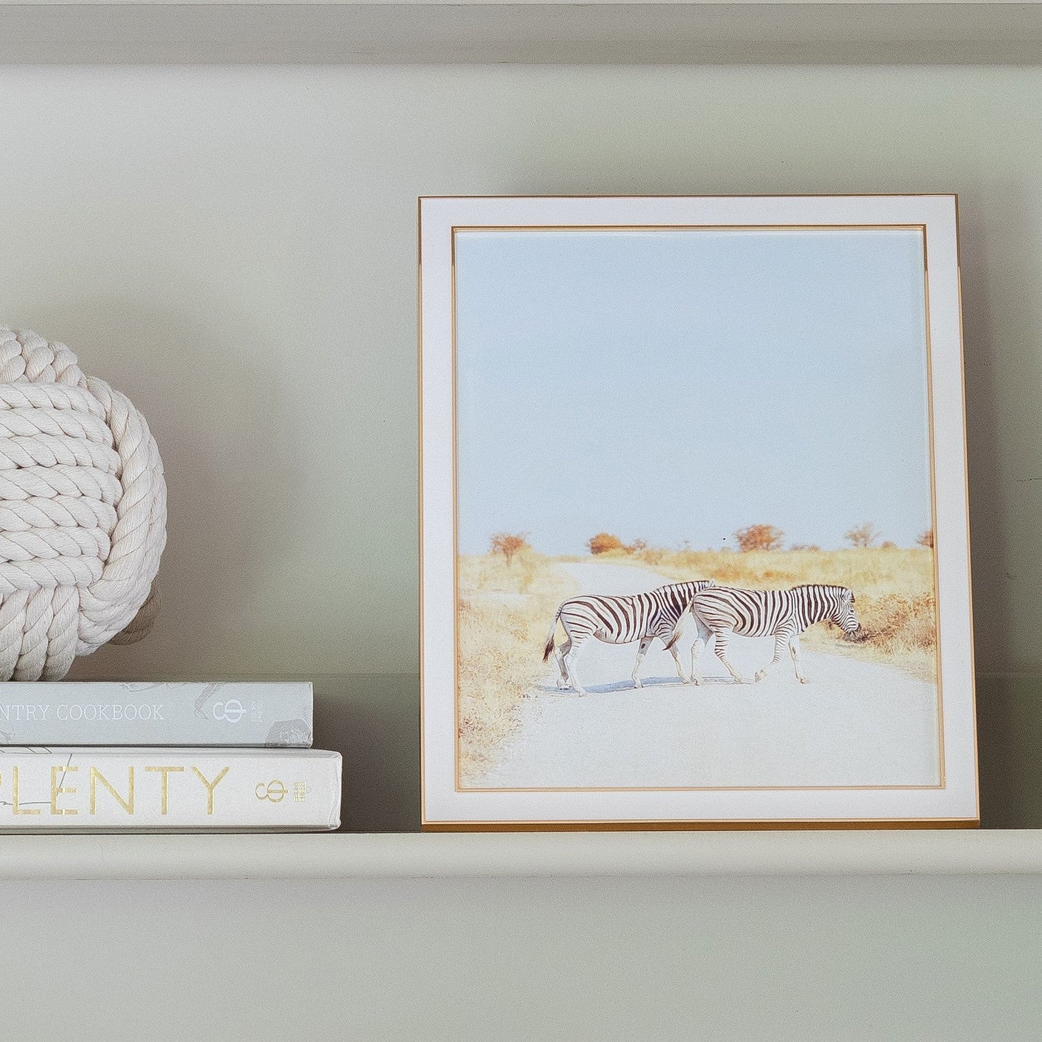 A framed photo of two zebras walking a dirt road sits on a shelf in an Addison Ross Gold Trim Enamel Frame, next to a coiled rope and two stacked books.