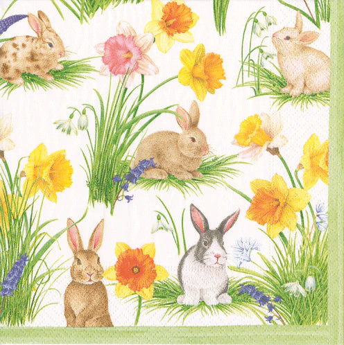 The Bunnies and Daffodils Place Setting Collection by Caspari features rabbits, green grass, daffodils, and spring flowers on a white background with a green border—ideal for Easter table decor or any spring celebration.