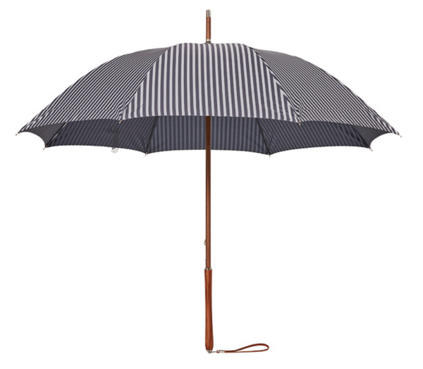 Business and Pleasure The Rain Umbrella Collection
