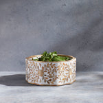 A decorative round planter with leafy greens stands out against a gray background, perfectly complementing the Be Home Mya Inlay Serving and Decor Collection.
