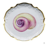 The Anna Weatherley Shell Bread and Butter Plate Collection features white porcelain plates with gold-trimmed, scalloped edges and a detailed hand-painted purple and yellow seashell design at the center.