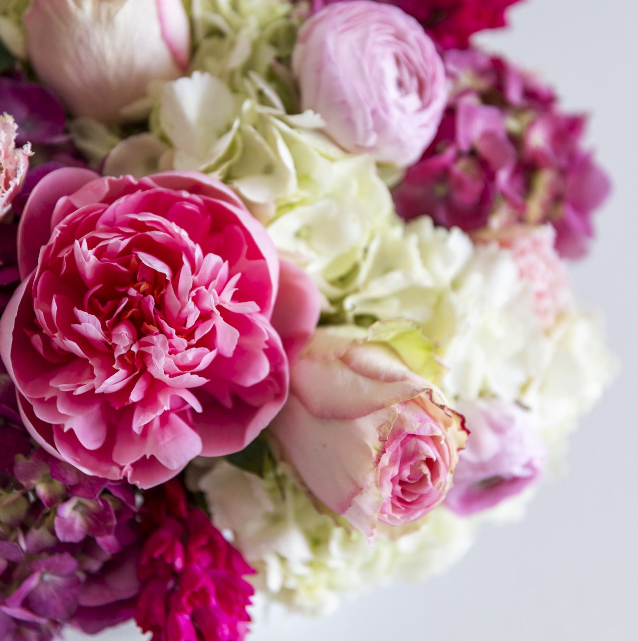A close-up of the Hive Floral Studio Live Mother's Day Floral Arrangement, featuring vibrant pink roses, peonies, and white hydrangeas—a stunning mix of pink and cream blossoms perfect for celebrating Mom.
