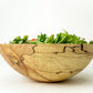 A mixed green salad is served in a Peterman's Spalted Maple Serving Bowl, showcasing its unique grain pattern against a plain white background.