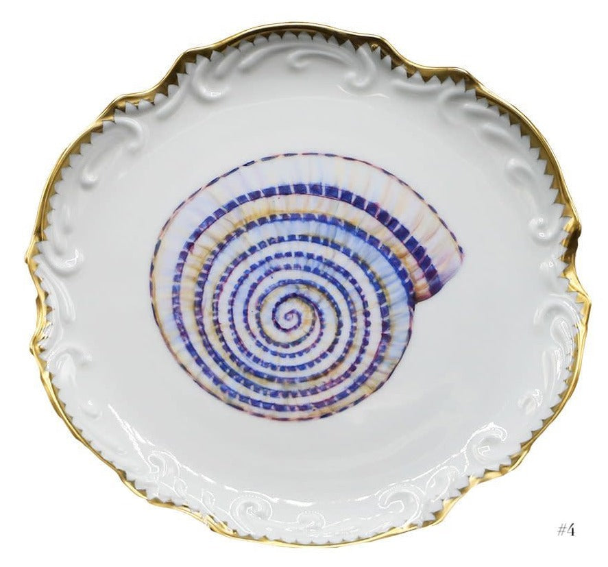 Anna Weatherley Shell Bread and Butter Plate Collection features hand-painted spiral seashells at the center and elegant gold-trimmed edges.