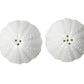 The Marina White Salt and Pepper Shaker Set by Blue Pheasant features two sea urchin-shaped porcelain shakers in white, each viewed from above with holes on top.