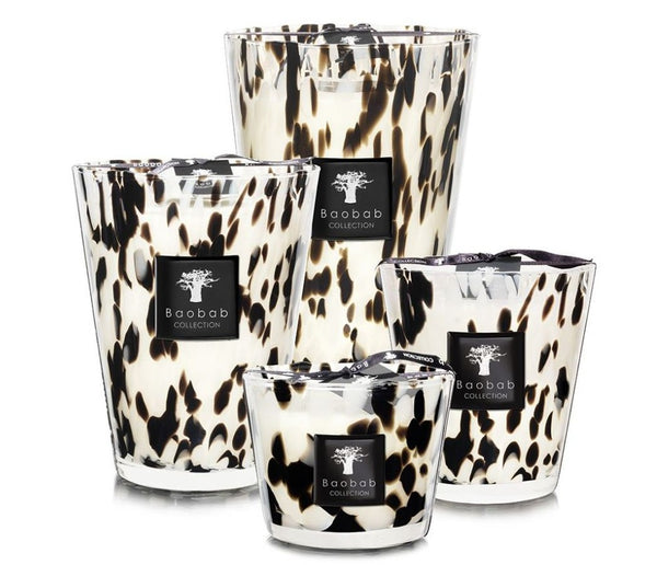 Four decorative Baobab Collection Pearls Black Candles with varying sizes, featuring a leopard print design on hand-blown glass containers.
