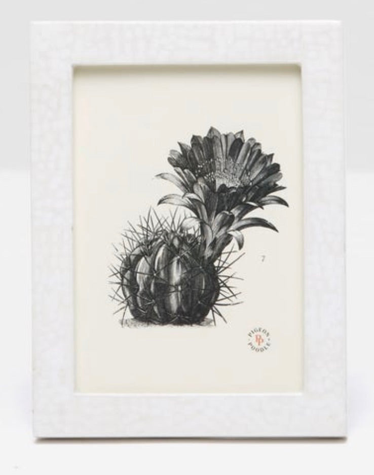 Black-and-white illustration of a flowering cactus, framed in a textured white frame from the Pigeon and Poodle Westport Frame Collection. The frame, featuring a cracked eggshell finish and a small emblem in the bottom right corner, adds an elegant touch.
