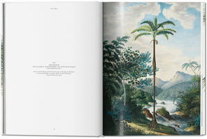 An open book displaying a colorful illustration of a 19th-century botany exploration in the Amazonian journey on the right page and text on palm trees classification on the left page, The Book of Palms by Taschen.