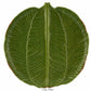 The Bordallo Pinheiro Bananas From Madeira Serveware Collection features a green, leaf-shaped ceramic cake plate with detailed veins and a glossy finish—ideal for bringing tropical flair to your table. Pictured from above on a white background.