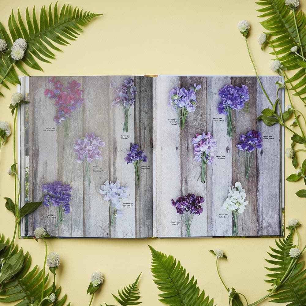 The book “A Year in Flowers” by Chronicle Books is opened to pages showcasing labeled photographs of diverse flowers arranged on rustic wooden backgrounds, with ferns and delicate white blossoms scattered on a yellow surface—providing creative inspiration for seasonal floral arrangements and bouquet design.