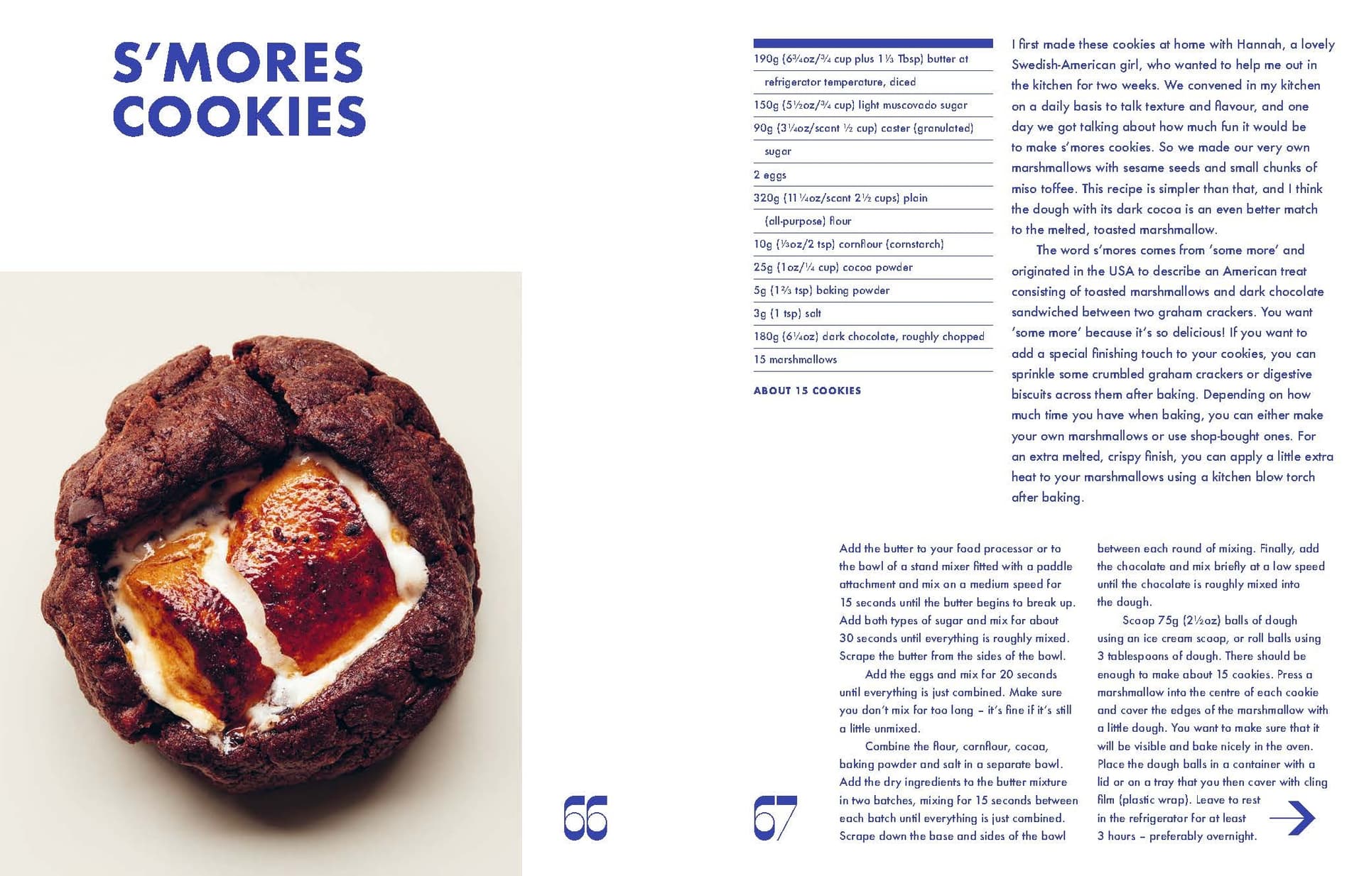 A close-up of a chocolate cookie featuring a toasted marshmallow center, shown alongside the “Cookies & Crumbs” recipe for gluten-free cookies and a thorough explanation of the baking process from Chronicle Books.