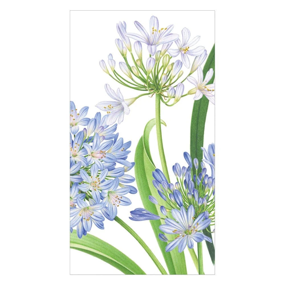 Illustration of Agapanthus flowers with green stems and clusters of blue and white star-shaped blossoms from Caspari’s Agapanthus Garden Collection—ideal for eco-friendly or biodegradable triple-ply napkins.