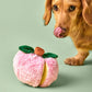 A brown dog licks its nose while standing next to The Foggy Dog’s Apple Interactive Snuffle Dog Toy, which features a hidden treat pocket, on a light green background.