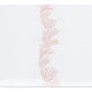 White napkin from the Matouk Atoll Bedding Collection in Blush with an embroidered coral branch pattern.