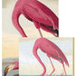 Two overlapping illustrations of pink flamingos from the Audubon Birds Collection by Caspari, set against naturalistic backgrounds—ideal for decorating eco-friendly napkins.