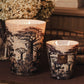 Two Baobab Sacred Trees Mankono Candles, featuring black and white tree designs, sit lit on a wooden surface. Their woody spicy fragrance fills the air, with dried flowers and stacked books in the background.