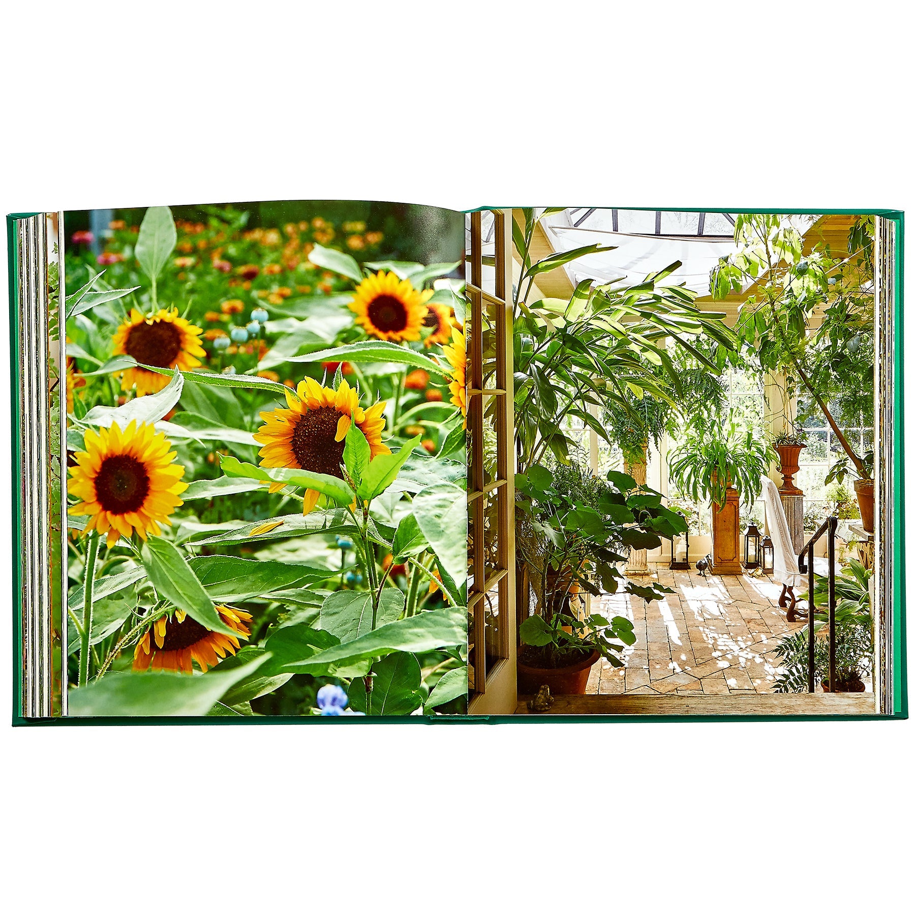 The open pages of Bunny Williams: A Life In The Garden, Leather Bound by Graphic Image show sunflowers by an 18th-century manor on the left and a sunlit room with potted plants on the right.