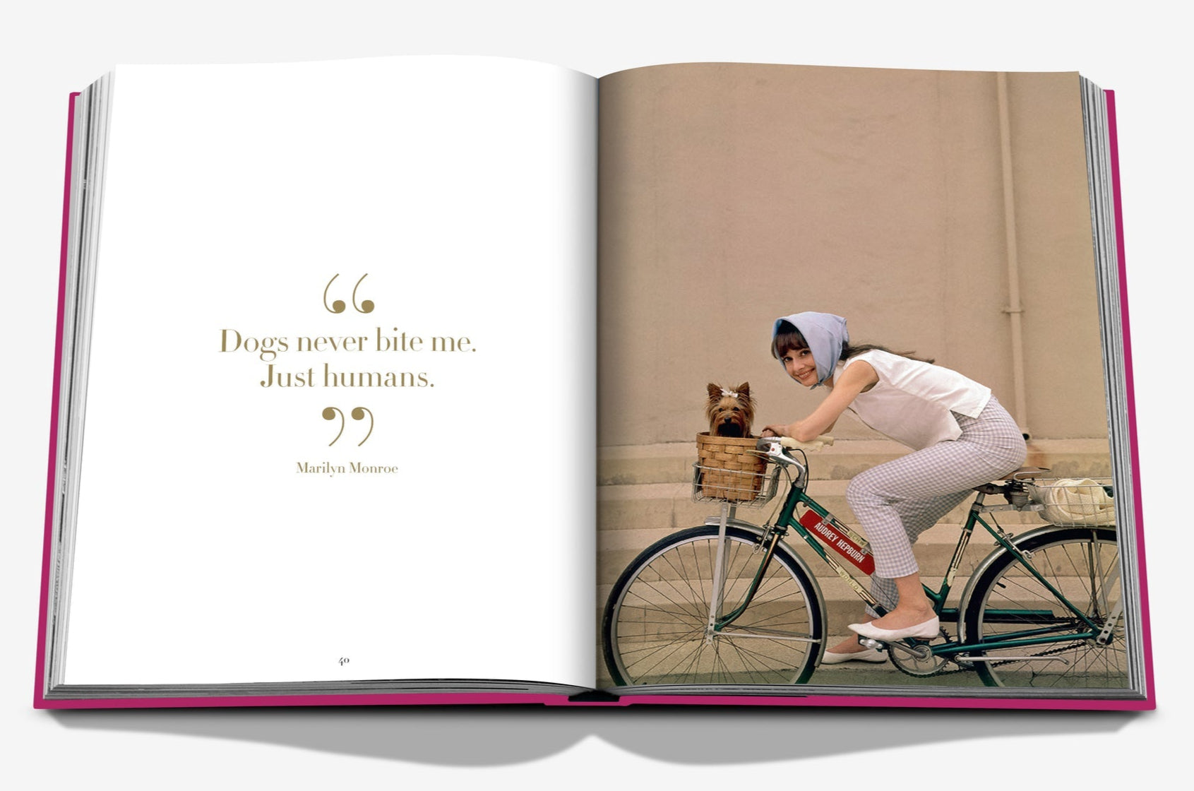 In "Chic Dogs" by Assouline, an open book showcases a quote about the timeless bond between dogs and humans. Alongside, a stylish image captures a person in a headscarf biking with chic flair while their small dog enjoys luxury in the basket.