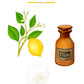 Illustration of a lemon branch, flowers, sea salt, and a brown Baobab Collection Cities Cote d'Azur Candle bottle with "Côte d'Azur" text—paying tribute to Baobab’s Côte d’Azur candle design.