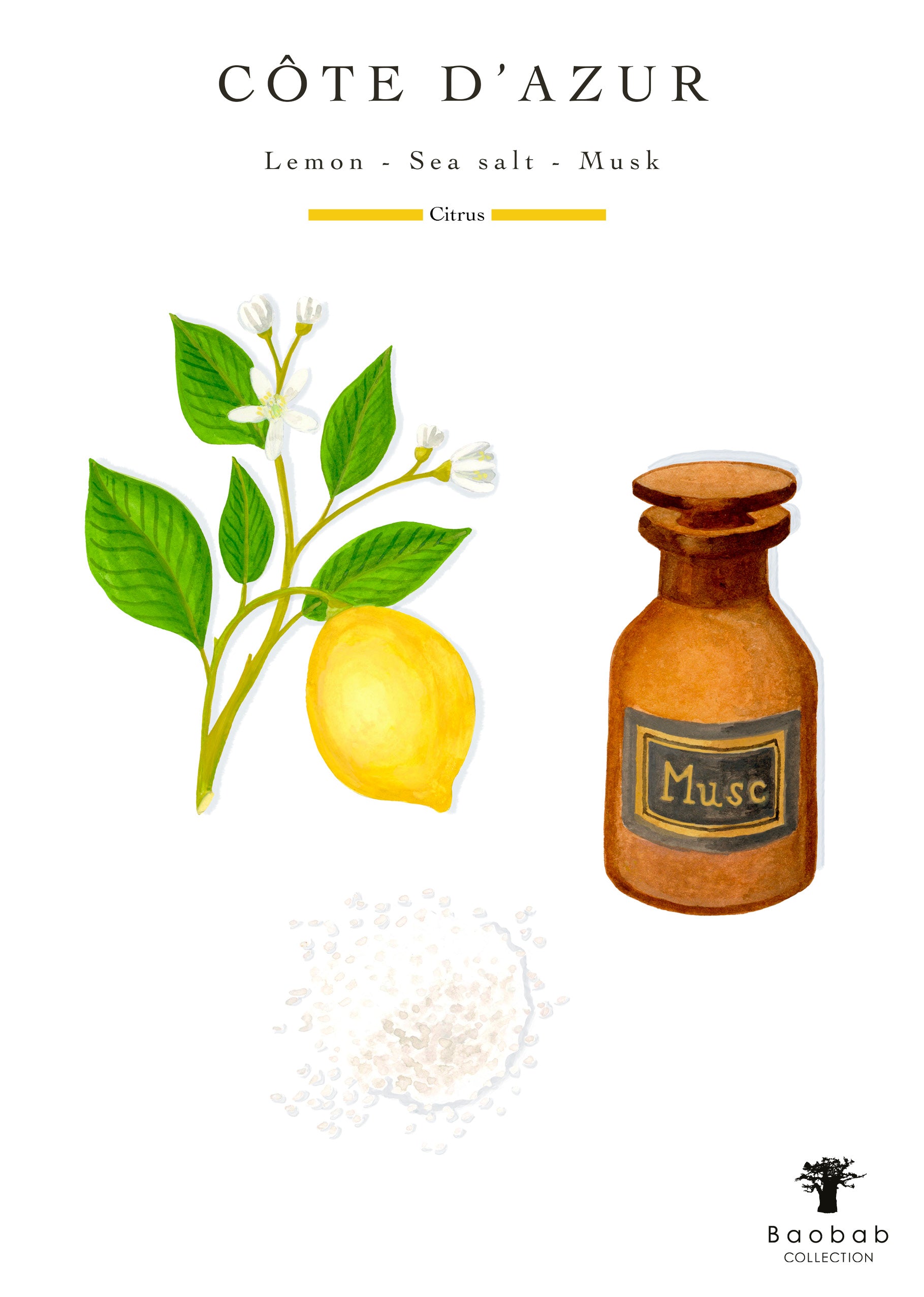 Illustration of a lemon branch, flowers, sea salt, and a brown Baobab Collection Cities Cote d'Azur Candle bottle with "Côte d'Azur" text—paying tribute to Baobab’s Côte d’Azur candle design.