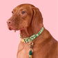 A brown dog wears The Foggy Dog's Dainty Daisies Dog Collar with matching leash, sitting against a solid pink background.