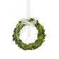 The Park Hill Collection Preserved Boxwood Wreath Collection features a small green wreath of preserved boxwood leaves with a white ribbon bow, hanging from a matching ribbon—ideal for stylish decorative displays.