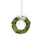 The Park Hill Collection Preserved Boxwood Wreath features green leaves and a sheer white ribbon—ideal for decorative use. Part of the Preserved Boxwood Wreath Collection.