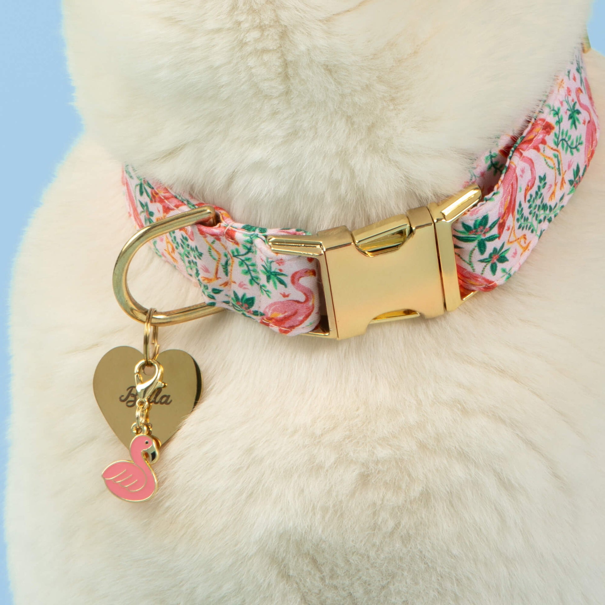 A close-up of a cat wearing a pink floral collar with a gold buckle, a heart-shaped "Bella" tag, and the Foggy Dog Flamingo Collar Charm.