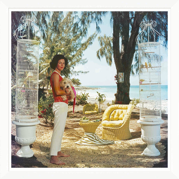 In a scene like a Slim Aarons classic, depicted in Getty Images' "Gloria Schiff" from January 1, 1963 by Soicher Marin, a woman in a tropical setting with a small dog stands between birdcages near wicker furniture and fruit against an ocean backdrop.