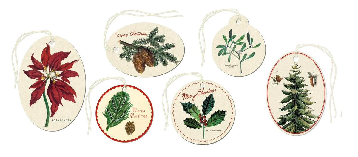 Six oval Christmas Botanica Gift Tags from Cavallini Papers and Co featuring botanical illustrations of poinsettias, pinecones, mistletoe, holly, and a pine tree, each with a string tie.