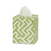 Gabriel Tissue Box Cover Collection - Grass