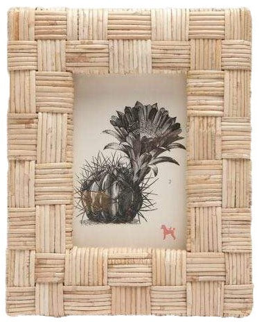 The Grasse Frame Collection by Pigeon & Poodle features a rectangular, extra-thick rattan woven frame showcasing botanical illustrations of a cactus and a flowering plant on white paper.