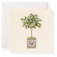 The Karen Adams Dolce Vita Gift Enclosures feature a small tree with green leaves and yellow fruit in a decorative ceramic pot, set against a textured background, perfect for cards or gift enclosures, with a white envelope included.