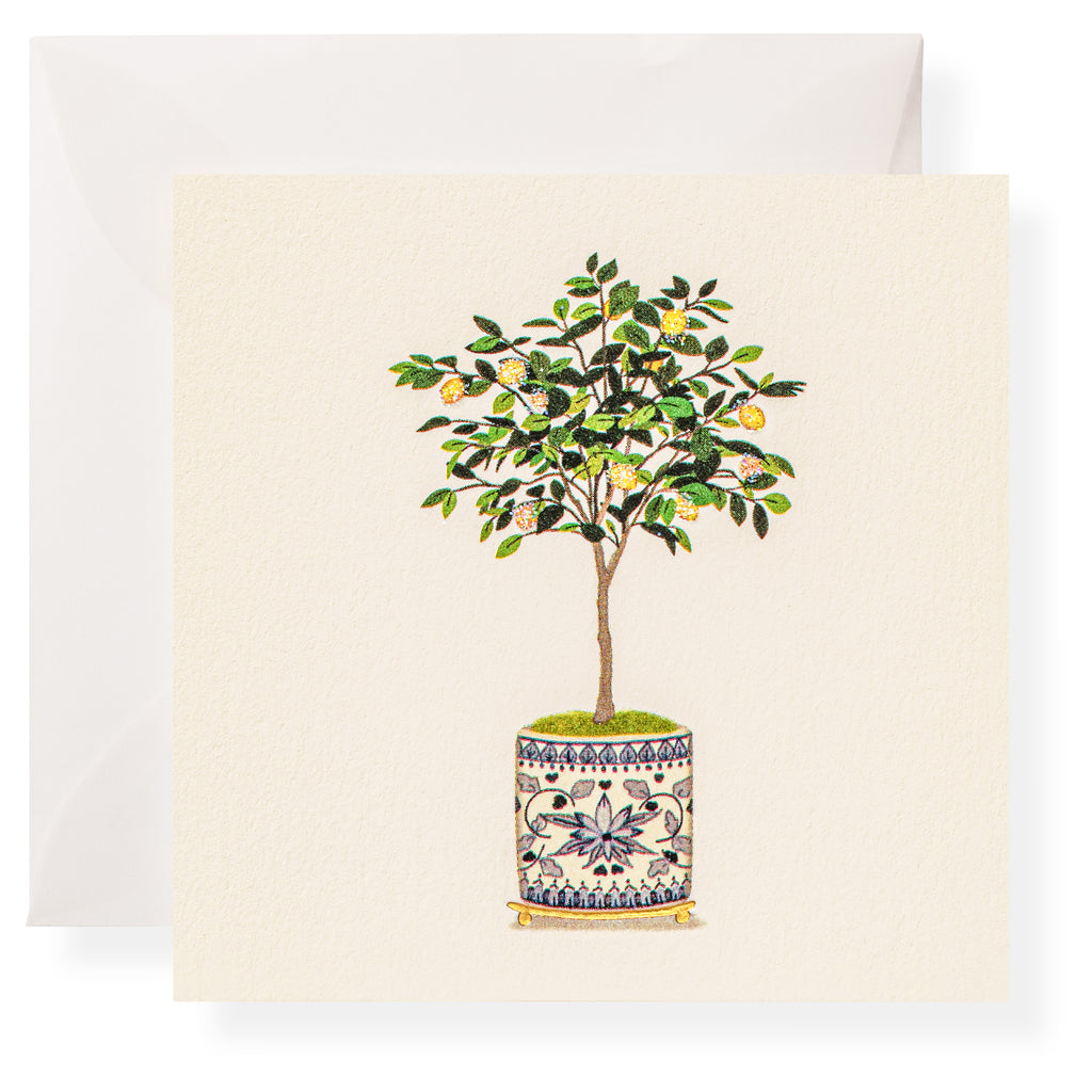The Karen Adams Dolce Vita Gift Enclosures feature a small tree with green leaves and yellow fruit in a decorative ceramic pot, set against a textured background, perfect for cards or gift enclosures, with a white envelope included.