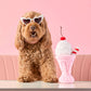 A curly-haired dog in heart-shaped sunglasses sits beside Foggy Dog's Strawberry Milkshake Snuffle Dog Toy, ready for playtime on a pink background.