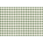 Add a timeless touch to your table with the Hester & Cook Dark Green Painted Check Rectangle Placemat, featuring a classic green and white gingham pattern with evenly spaced horizontal and vertical lines—perfect as a stylish placemat or placemat pad.