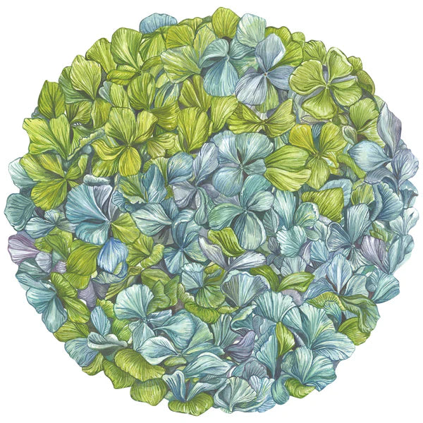 Hand-drawn green and blue leaves, inspired by the Hydrangea Collection from Hester & Cook, form a circular cluster on a white background, creating an elegant table setting.