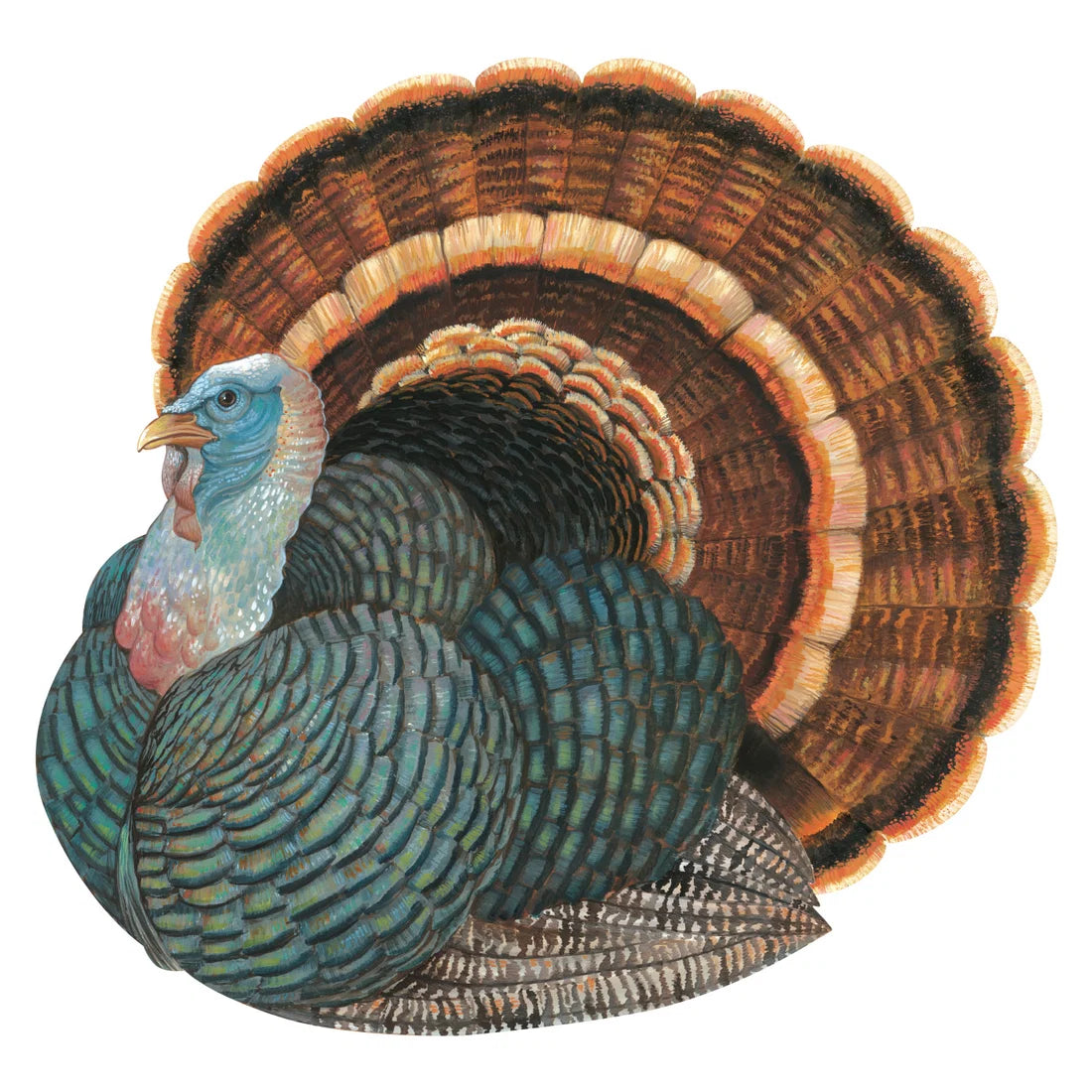 Illustration of a wild turkey with vibrant, intricate feathers fanned out behind its body, inspired by the classic Heritage Turkey Collection from Hester & Cook—an ideal choice for creating unique seating assignments at your festive gathering.