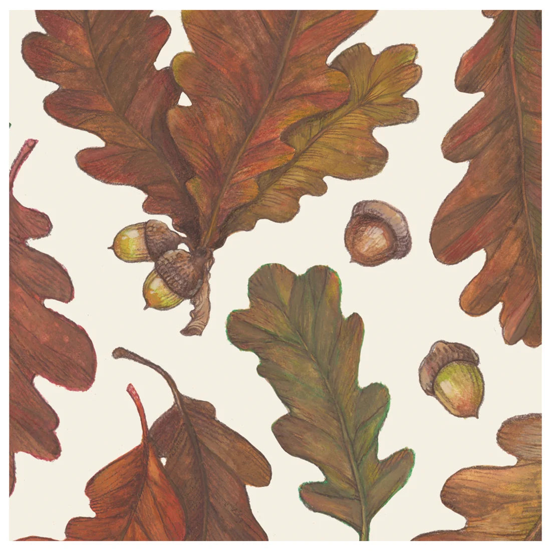 Capture the essence of fall colors for any autumn occasion with the Autumn Leaves Collection by Hester & Cook, featuring an illustration of brown and green oak leaves with acorns scattered on a light background.