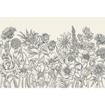 Detailed black and white illustration of wildflowers in a dense, horizontal layout on a light background. From the Wildflower Meadow Collection by Hester & Cook.
