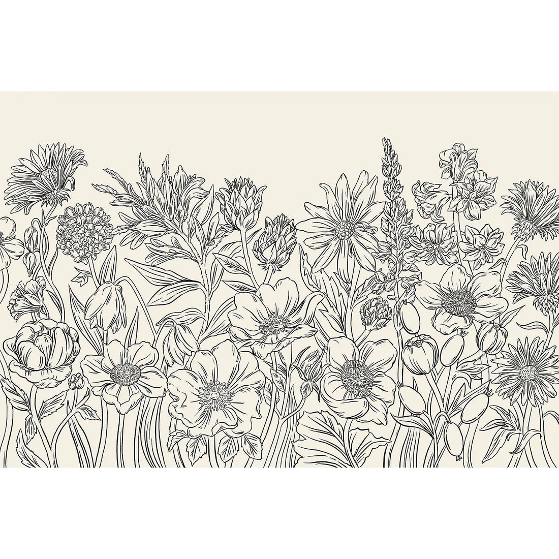 Detailed black and white illustration of wildflowers in a dense, horizontal layout on a light background. From the Wildflower Meadow Collection by Hester & Cook.